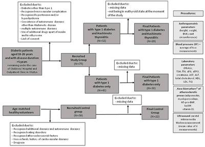 Does Hashimoto's Thyroiditis Increase the Risk of Cardiovascular Disease in Young Type 1 Diabetic Patients?